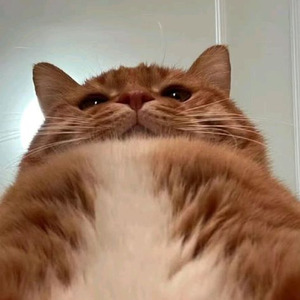 Could've Been You (sped up)