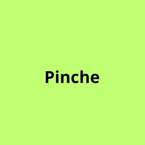 Pinche