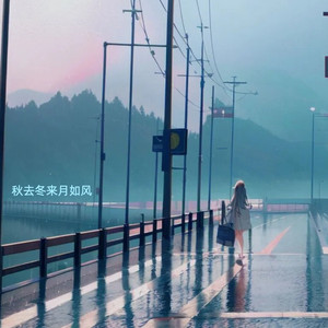 秋去冬来月如风
