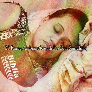 暴风雨前的平静