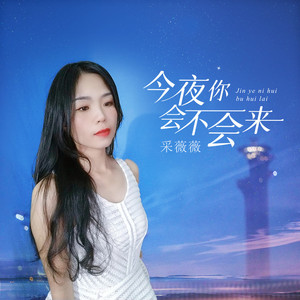 今夜你会不会来 (DJ大金版)