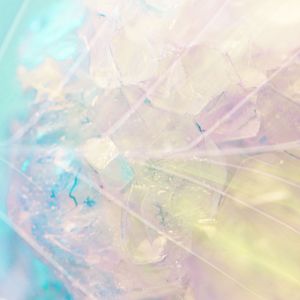 Uber Everywhere Forever