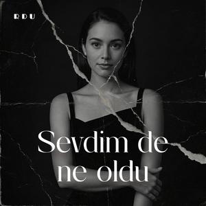 Sevdim de ne oldu