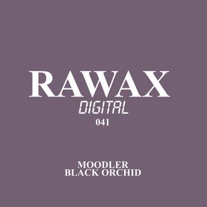 Black Orchid (Original Mix)