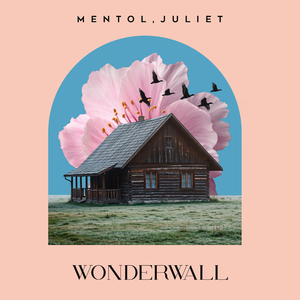 Wonderwall