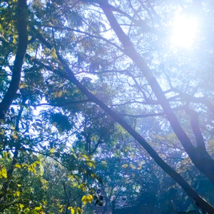 Ram Nam (Yaman Kalyan Rag)