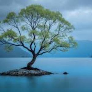 Meditation, chill out 02.26