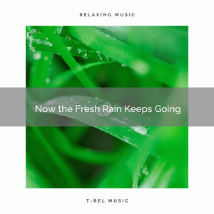 Now the Perfect Storm Never Stops Pouring for You