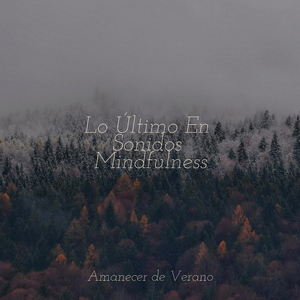 Arrullos Cristalinos