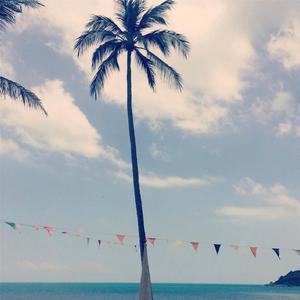 Moments We Live For (Acoustic)