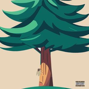 Lil Terry (feat. The Cicadas)