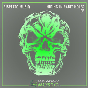Hiding in Rabbit Holes (Original Mix)