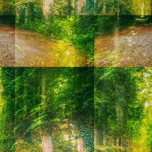 Psychophysiological