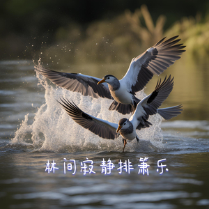 雨朦胧 (助眠排箫)