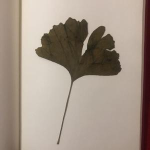 思念是一种病 [高质量]
