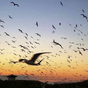 童话（你的婚礼）