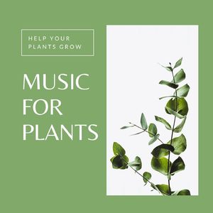 Help Your Plants Grow