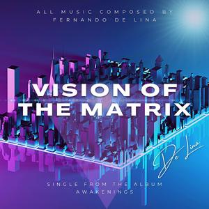 VISION OF THE MATRIX