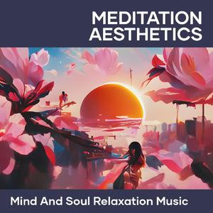 Meditation Aesthetics