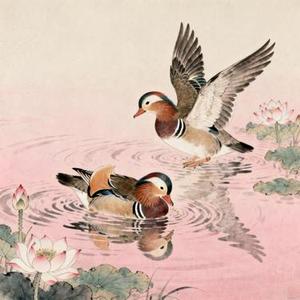 鸳鸯戏 (Remix)