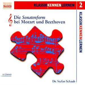 Die Sonatenform bei Mozart und Beethoven: Was versteht man in der Wiener Klassik unter einem „Thema“?