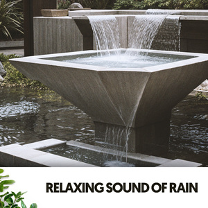 Whispering Rainforest Harmony