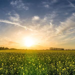 如果放手是一种解脱 (烟嗓男版)