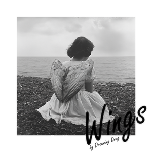 翅膀（Cover）