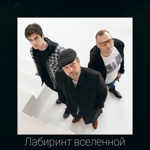 Вены