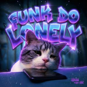FUNK DO LONELY