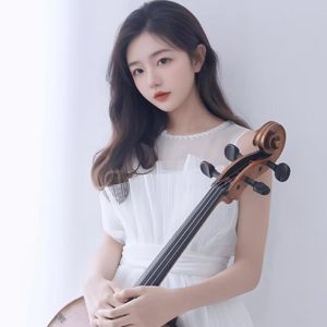 红梅赞——影视剧主题曲