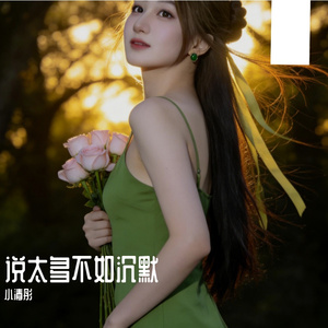 说太多不如沉默