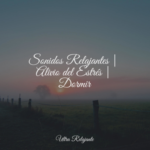 En Lo Profundo De Las Cuevas