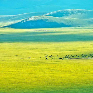 你是一首悠扬的牧歌-洞箫