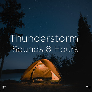 호우 잠