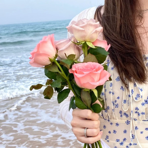 放不下的那个人