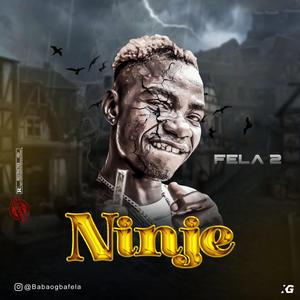 Ninje (feat. Dj mayor kay)