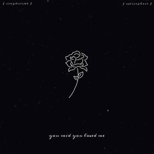 You Said You Loved Me