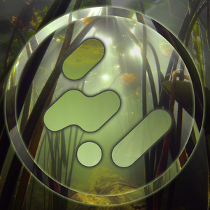 Whispers (Original Mix)