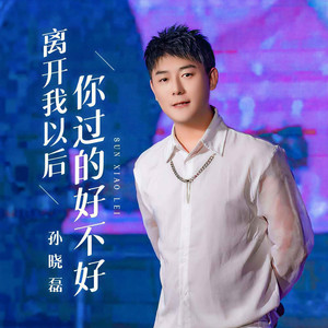 离开我以后你过的好不好