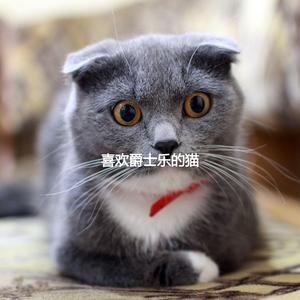 Wonderful Smooth Jazz Saxophone - Vibe for Happy Cat