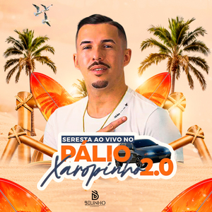 Liguei pra Dizer Que Te Amo