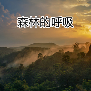 森林的呼吸