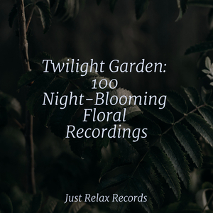 Echoes from Celestial Heights