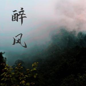 醉风
