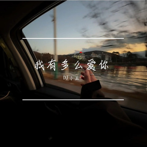 我有多么爱你