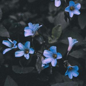 Max Lee-Past II（Rne / Max Lee remix）