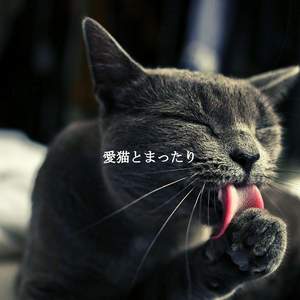 Unique Coffee in Tokyo