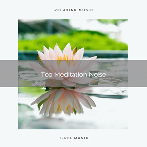Meditation Zone and Noise