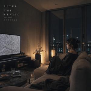 AFTER THE STATIC 當世界靜音之後
